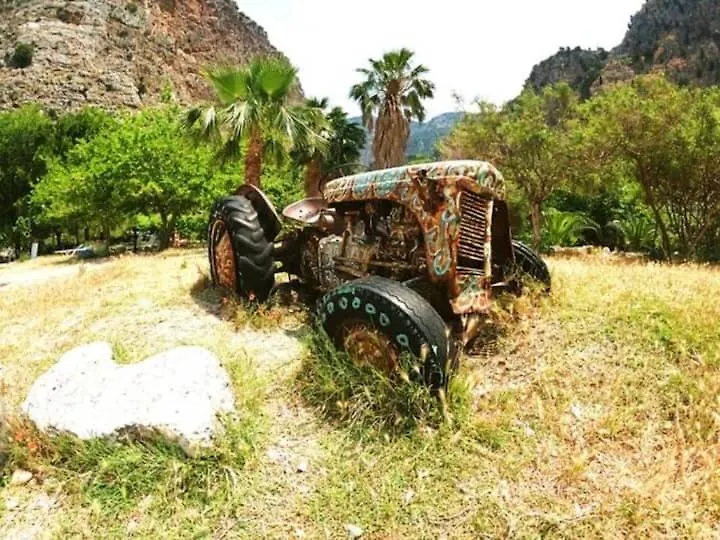 Butterfly Valley Beach Glamping Fethiye 0*,  Turkey